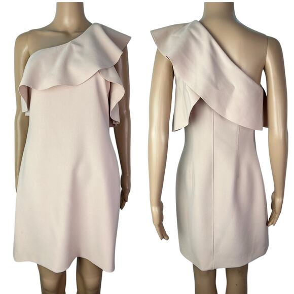 Elizabeth and James Dresses & Skirts - Elizabeth and James Jerard One-shoulder Pale Pink Ruffle Sheath Dress